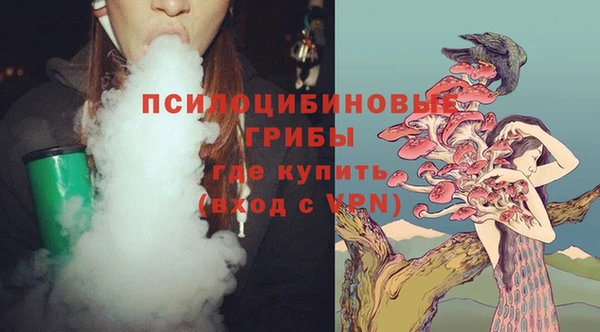 мдпв Горняк